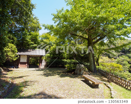 濱松城公園日本庭園的夏天 濱松城公園日本庭園的夏天 130563349