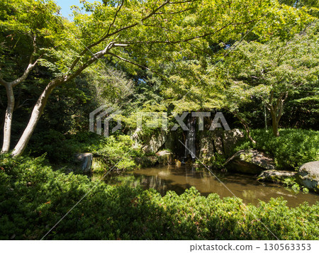 Summer in the Japanese garden at Hamamatsu Castle Park 130563353