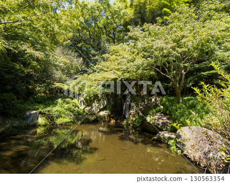 濱松城公園日本庭園的夏天 130563354