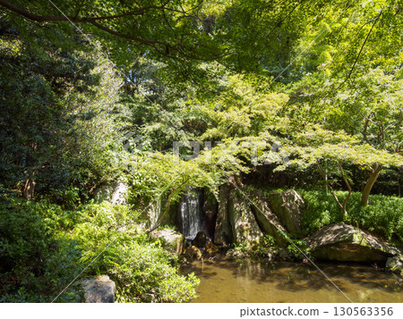Summer in the Japanese garden at Hamamatsu Castle Park 130563356