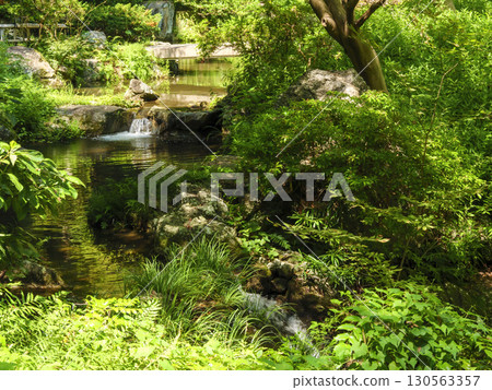 Summer in the Japanese garden at Hamamatsu Castle Park Summer in the Japanese garden at Hamamatsu Castle Park 130563357