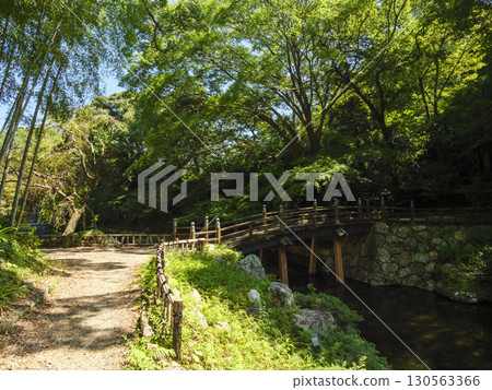 濱松城公園日本庭園的夏天 130563366