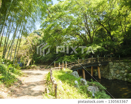 濱松城公園日本庭園的夏天 130563367