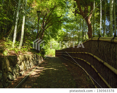 濱松城公園日本庭園的夏天 130563378