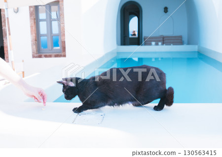 希臘聖托里尼島的美麗風景 130563415