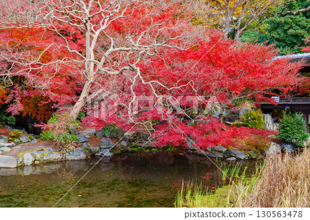 京都涉成園：圓月池和潭浦溪谷 130563478