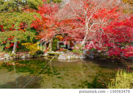 京都涉成園:圓月池和潭浦溪谷 京都涉成園:圓月池和潭浦溪谷 130563479