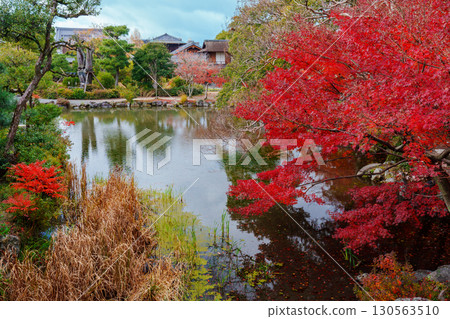 京都涉成園圓月池的秋葉 130563510