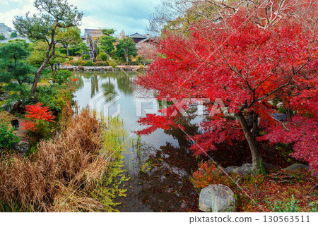 Autumn leaves at Engetsu Pond in Shosei-en Garden, Kyoto 130563511