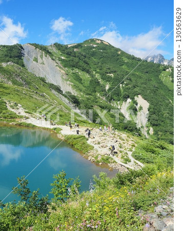 長野縣,八方池夏季山季,八月 長野縣,八方池夏季山季,八月 130563629