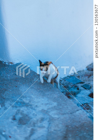 Morning on the Greek island of Santorini Morning on the Greek island of Santorini 130563677