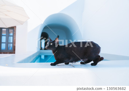 Morning on the Greek island of Santorini 130563682