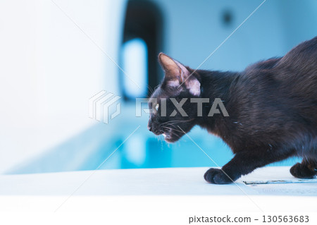 Morning on the Greek island of Santorini 130563683