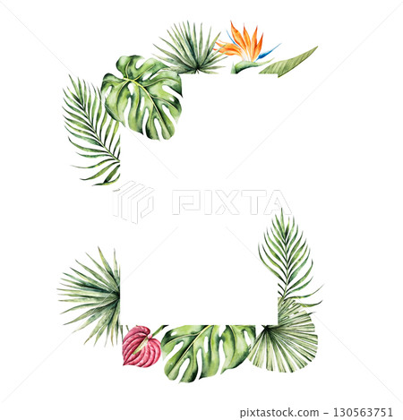 Monstera leaf frame, Strelitzia and red anthurium flowers template. Watercolor hand drawn palm areca, vibrant green tones. Isolated botanical illustration on transparent background. Perfect for Monstera leaf frame, Strelitzia and red anthurium flowers template. Watercolor hand drawn palm areca, vibrant green tones. Isolated botanical illustration on transparent background. Perfect for 130563751