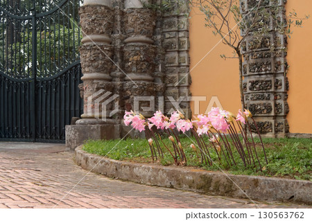 Pink flowers without leaves near entrance to park in autumn. Urban development, Europe. Nature and background for design. 130563762