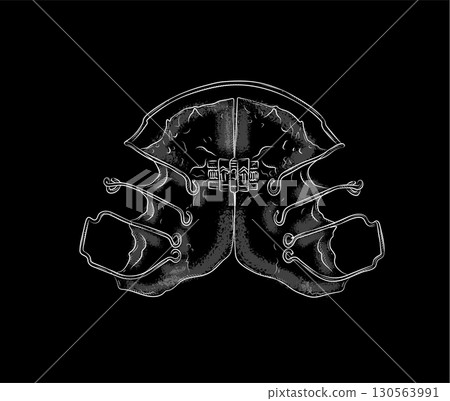 Orthodontic align teeth plate illustration black Orthodontic align teeth plate illustration black 130563991