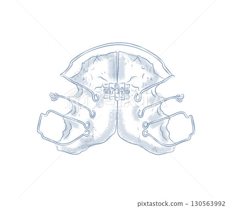Orthodontic align teeth plate illustration blue Orthodontic align teeth plate illustration blue 130563992