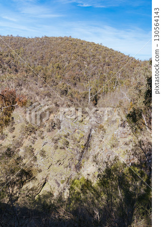Strath Creek Falls View in Australia 130564143
