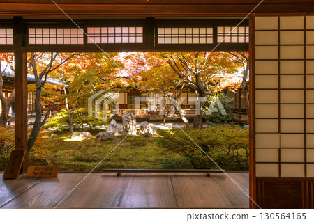 從京都建仁寺的日式房間欣賞秋葉。京都著名的紅葉景點。日式花園和紅葉美景。京都最古老的禪寺。京都的旅遊景點。 130564165