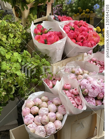 Fresh peonies in various shades of pink and red displayed at a local flower market stall Fresh peonies in various shades of pink and red displayed at a local flower market stall 130564208