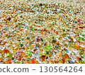 Colorful seagrass beach 130564264