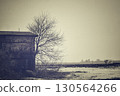Silhouette of ruins and dead trees 130564266