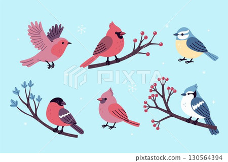 Set of cute winter birds of different species, flying and sitting. Vector graphics. Set of cute winter birds of different species, flying and sitting. Vector graphics. 130564394