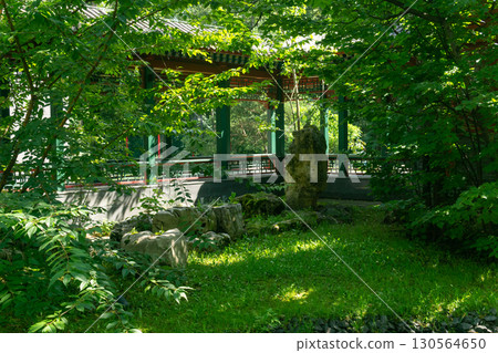 Beautiful Chinese garden with covered gallery in the summer Beautiful Chinese garden with covered gallery in the summer 130564650
