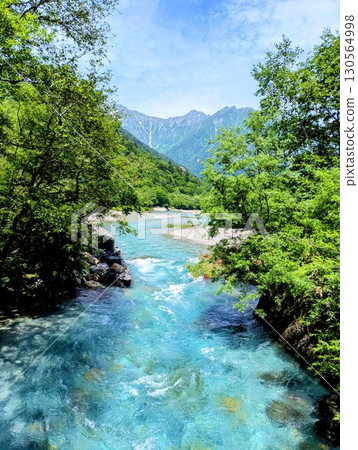 被新鮮綠色植物包圍的秘密區域 130564998