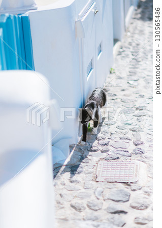 希臘聖托里尼島美麗的早晨 希臘聖托里尼島美麗的早晨 130565486