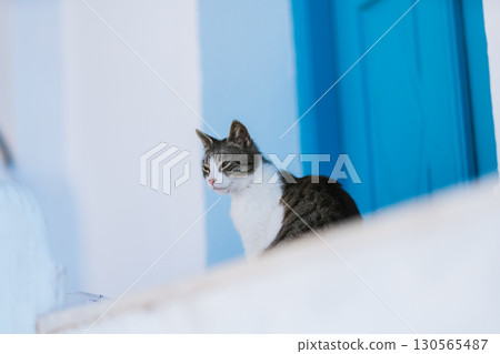 希臘聖托里尼島美麗的早晨 130565487