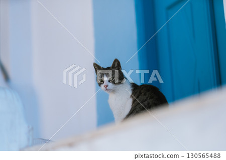 希臘聖托里尼島美麗的早晨 希臘聖托里尼島美麗的早晨 130565488