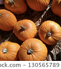 Scenery with many Halloween pumpkins 130565789