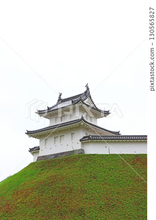 栃木縣宇都宮市宇都宮城風景 130565827