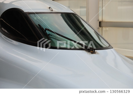 windshield windshield 130566329