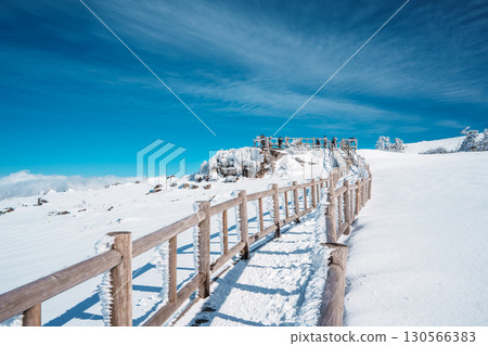 Snowy wooden walkway on Eorimok Trail, Hallasan, Jeju under bright sky Snowy wooden walkway on Eorimok Trail, Hallasan, Jeju under bright sky 130566383
