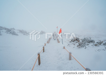 Hiker in fog on snowy Yeongsil Trail, Hallasan, Jeju Island, South Korea 130566391