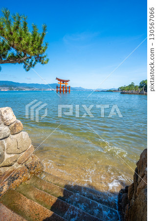 夏天的宮島、嚴島神社、鳥居 130567066