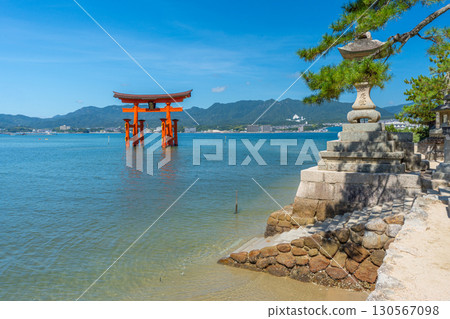 Miyajima in summer, Itsukushima Shrine, Torii Miyajima in summer, Itsukushima Shrine, Torii 130567098