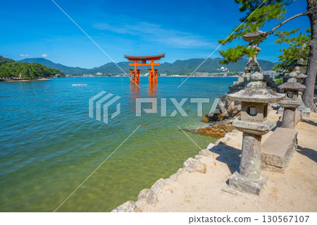 夏天的宮島、嚴島神社、鳥居 130567107