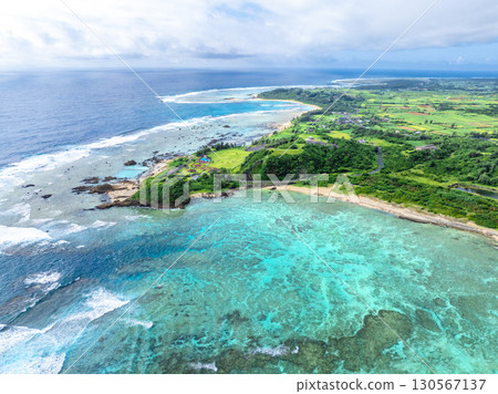 夏天的綾丸岬（鹿兒島縣奄美大島） 130567137