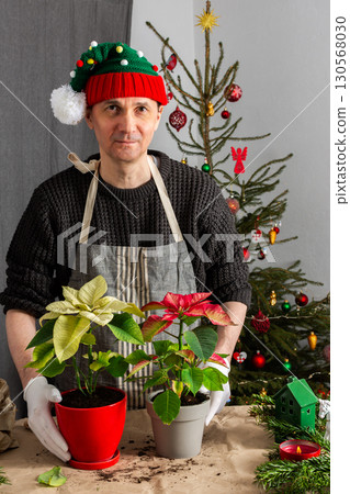 A cozy holiday scene with a man repotting Poinsettia flowers by a Christmas tree, capturing the essence of festive spirit and home gardening during the Christmas season A cozy holiday scene with a man repotting Poinsettia flowers by a Christmas tree, capturing the essence of festive spirit and home gardening during the Christmas season 130568030
