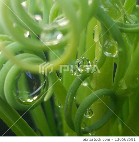 A drop A drop 130568591