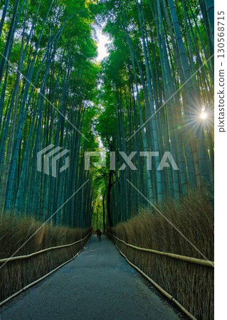 清晨的嵐山竹林小徑 清晨的嵐山竹林小徑 130568715