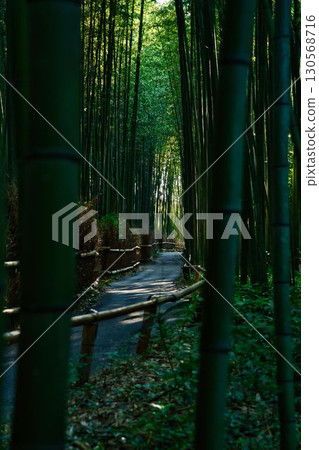 清晨的嵐山竹林小徑 清晨的嵐山竹林小徑 130568716