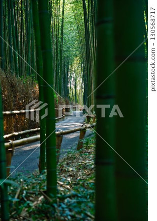 清晨的嵐山竹林小徑 清晨的嵐山竹林小徑 130568717
