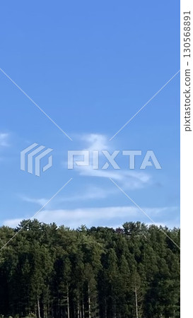 蛇年：以雲的形式出現 130568891