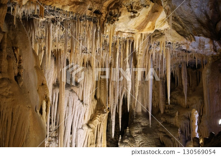 南大東島的神秘石灰岩洞穴 130569054