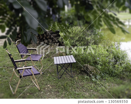 Relaxing view of plant and flower in summer garden Relaxing view of plant and flower in summer garden 130569350