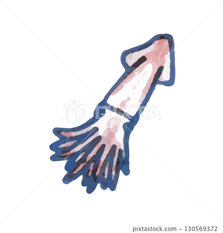 Cute illustration of squid from Tohoku 130569372